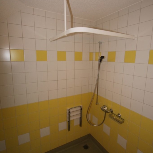 Dusche 2-Zimmer-Wohnung
